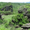 貓鼻頭(貓鼻頭風景區, 貓鼻頭公園)-貓鼻頭公園照片