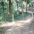 中興林場(新化國家植物園)