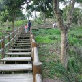 中興林場(新化國家植物園)