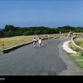 鵝鑾鼻公園(礁林公園)-鵝鑾鼻公園照片
