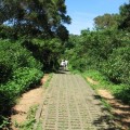 社頂自然公園 (社頂高位珊瑚礁生態保護區)