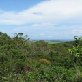社頂自然公園 (社頂高位珊瑚礁生態保護區)-社頂自然公園 (社頂高位珊瑚礁生態保護區)照片