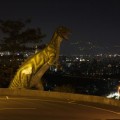 中和烘爐地土地公(南山福德宮)-夜景2照片