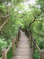 半屏山自然公園-半屏山自然公園照片