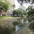 新竹護城河親水公園照片