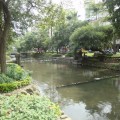 新竹護城河親水公園-新竹護城河親水公園照片