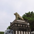 新竹市立動物園-新竹市立動物園照片