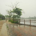 陵水湖(小西湖)-陵水湖 照片
