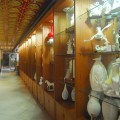 金門陶瓷博物館-金門陶瓷博物館照片