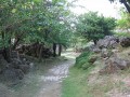 原生植物園-熱帶植物區照片