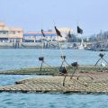 東石漁人碼頭-養蚵人家的海上平台照片