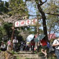 阿里山國家森林遊樂區-慈雲寺山門照片