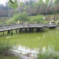 小瑞士花園-小瑞士花園照片