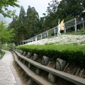 小瑞士花園-小瑞士花園照片