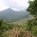 九份二山震災紀念園區-大走山照片