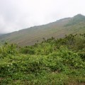 九份二山震災紀念園區-地滑景觀(大走山)照片