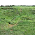 龍磐公園(龍磐草原 龍磐自然公園)-龍磐公園(龍磐草原 龍磐自然公園)照片