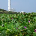 綠島燈塔