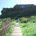 帆船鼻草原(綠島地毯)-帆船鼻草原(綠島地毯)照片