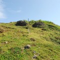 帆船鼻草原(綠島地毯)