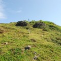 帆船鼻草原(綠島地毯)-帆船鼻草原(綠島地毯)照片