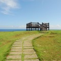 帆船鼻草原(綠島地毯)-帆船鼻草原(綠島地毯)照片