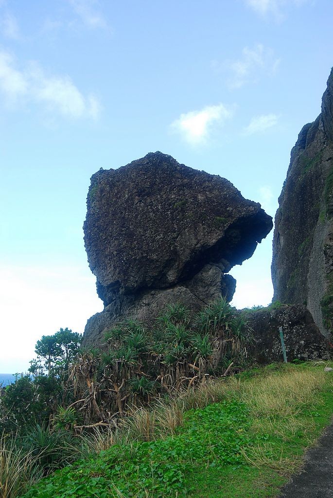 ãè­å¶¼ é¼çãçåçæå°çµæ