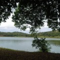 古崗湖-古崗湖照片