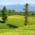 赤科山-赤科山照片