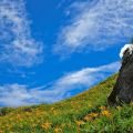 六十石山風景區-六十石山風景區照片