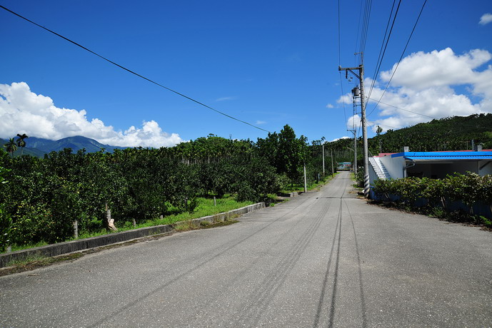 鶴岡文旦觀光果園主照片