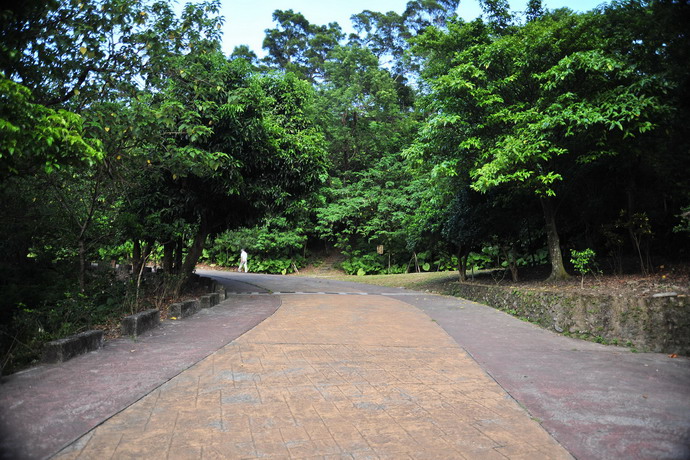 美崙山生態公園主照片