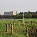 人文公園(環保運動公園)-荷花池一臾照片