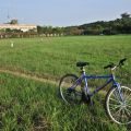 人文公園(環保運動公園)-草地 & 單車照片
