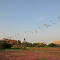 人文公園(環保運動公園)-放風箏1照片