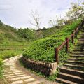 牛埔農塘(牛埔泥岩水土保持教學園區)-牛埔農塘(牛埔泥岩水土保持教學園區)照片