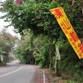 東山咖啡園區(東山咖啡公路)-東山咖啡園區(東山咖啡公路)照片