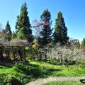 沼平公園-公園一景4照片