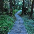 祝山觀日步道-祝山觀日步道照片