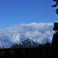 祝山觀日樓(祝山觀日平台)-松樹雲海2照片