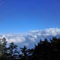 祝山觀日樓(祝山觀日平台)-松樹雲海3照片