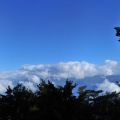 祝山觀日樓(祝山觀日平台)-松樹雲海全景照片
