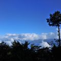 祝山觀日樓(祝山觀日平台)-松樹雲海5照片