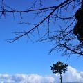 祝山觀日樓(祝山觀日平台)-藍天雲海照片