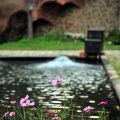 摩爾花園餐廳(摩爾花園古堡)-摩爾花園餐廳(摩爾花園古堡)照片