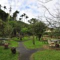 山海觀休閒農園(山海觀咖啡莊園)-山海觀休閒農園(山海觀咖啡莊園)照片