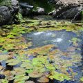 立川漁場-立川漁場照片