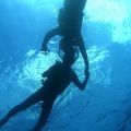 澎湖陽光阿有專業浮潛 潮間帶探險照片
