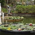 莫內花園山莊-莫內花園山莊照片