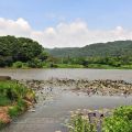 哭泣湖畔石頭屋(凡伊斯山野菜館)-哭泣湖畔石頭屋(民宿)照片